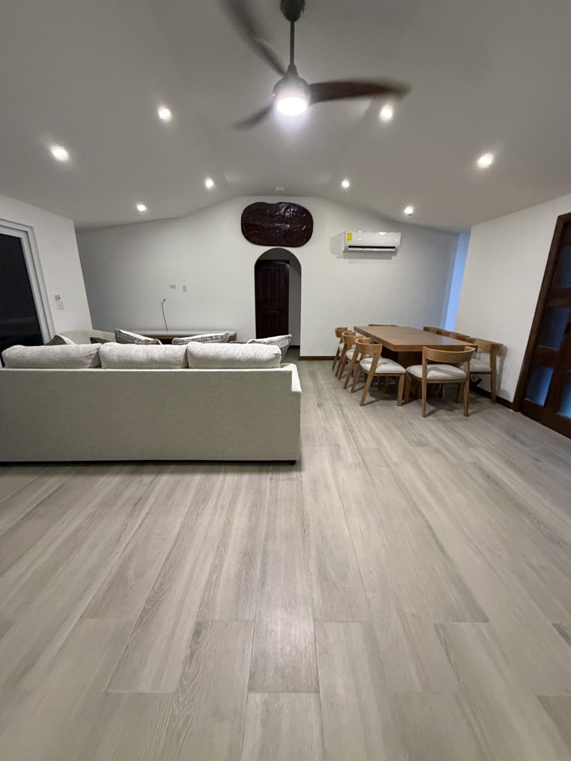 Vaulted living room